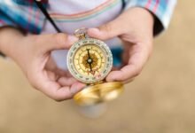 comprehensive blogs reading guide