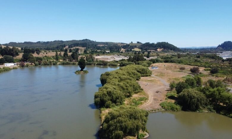 p2p explorers comprehensive guide