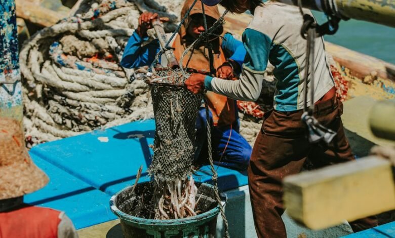 phonedeck net functionality explained