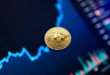 pootenlord coin functionality explained