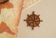 prmovies org overview guide