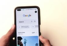refseek search engine functionality