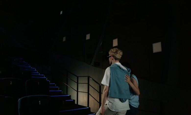 sd movies pinto overview